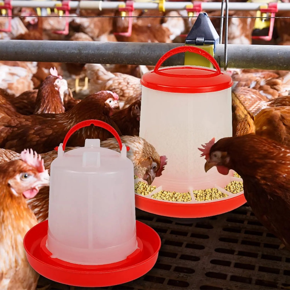 Comedero y Bebedero para Aves  - Portion Control Container reseña y precio