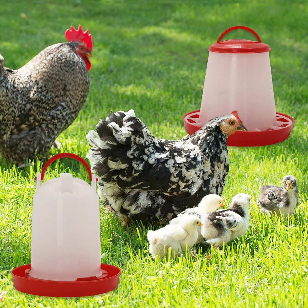 Comedero y Bebedero para Aves  - Portion Control Container reseña y precio