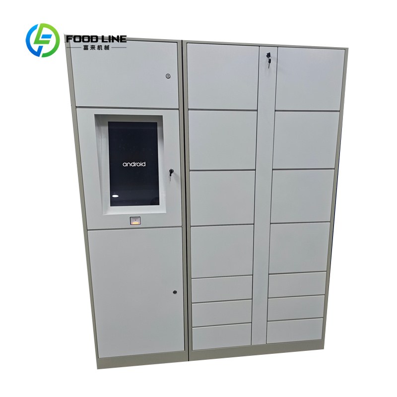 Cerradura Electrónica Intelige - Food Storage Locker reseña y precio