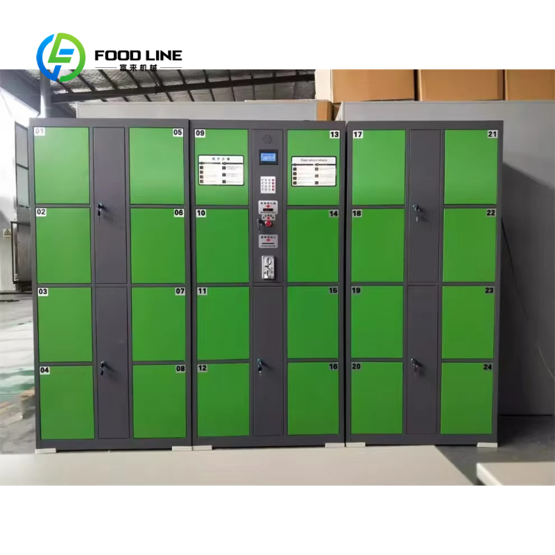Cerradura Electrónica Intelige - Food Storage Locker reseña y precio