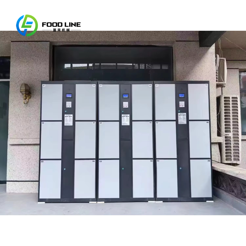 Cerradura Electrónica Intelige - Food Storage Locker reseña y precio