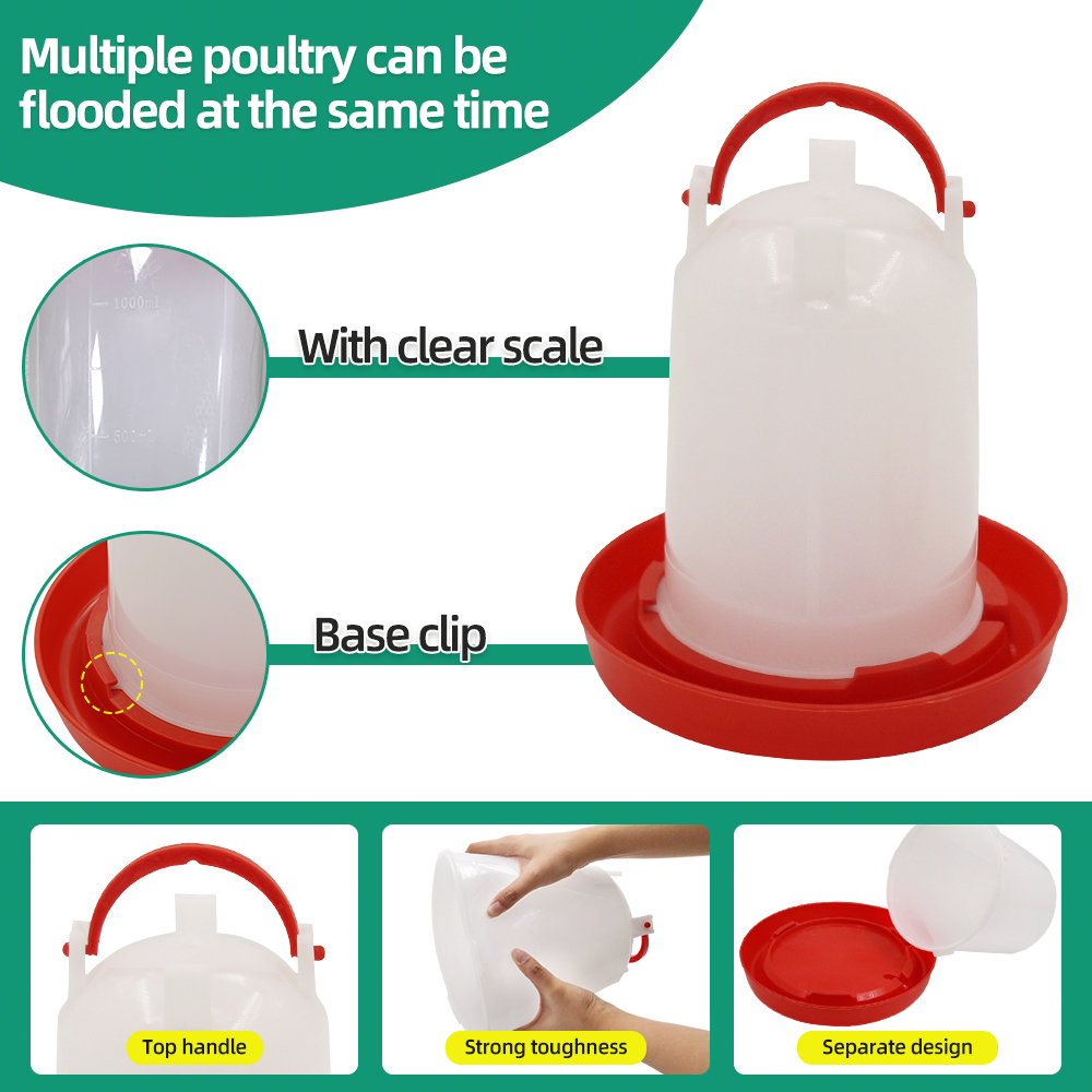 Alimentador y bebedero para av - Portion Control Container reseña y precio