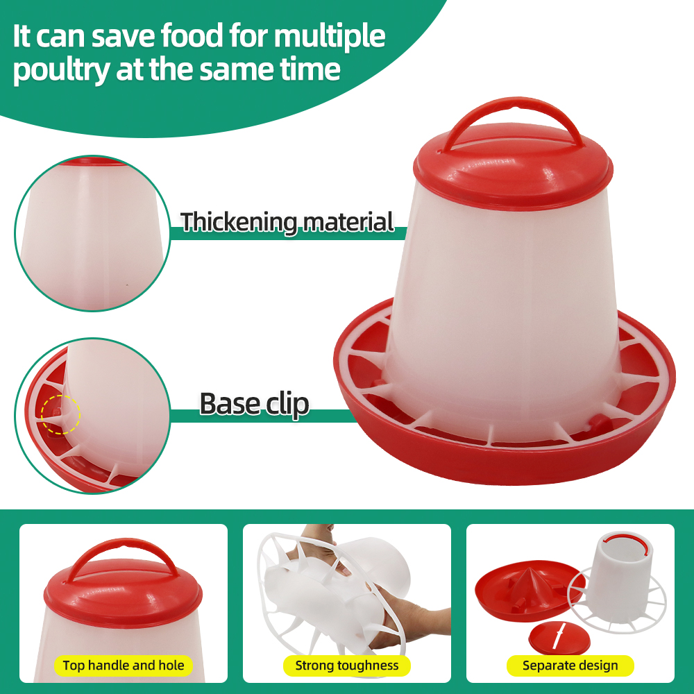 Alimentador y bebedero para av - Portion Control Container reseña y precio