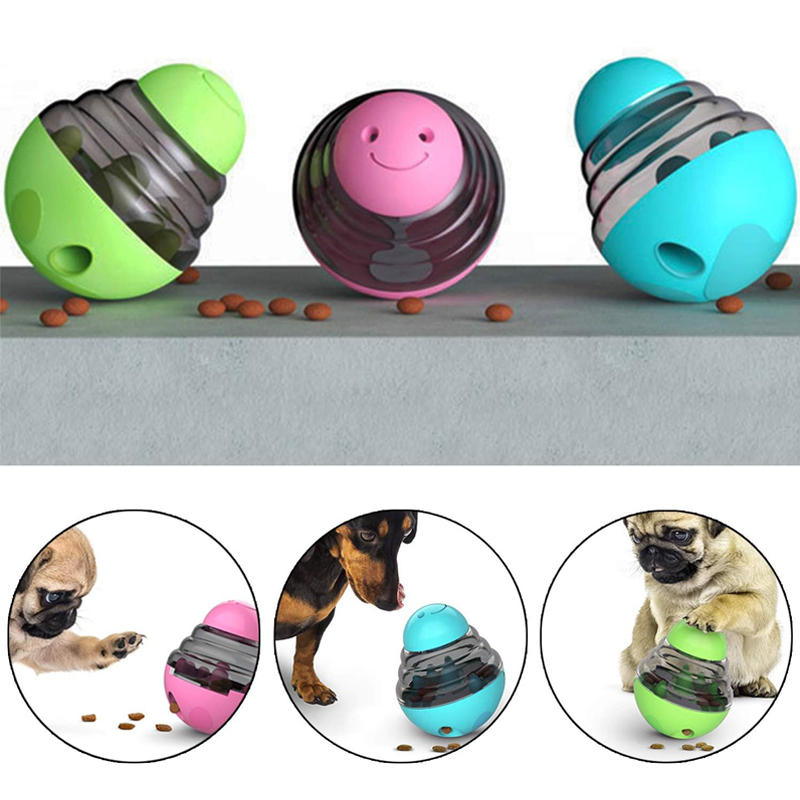Dispensador de comida interact - Portion Control Container reseña y precio