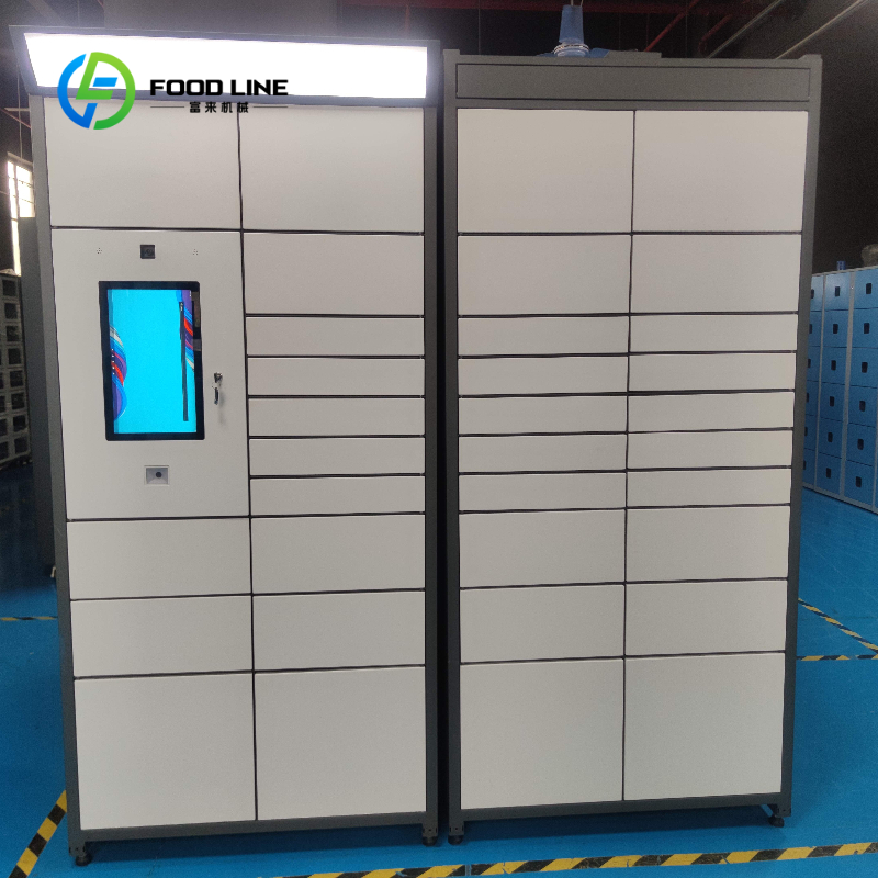 Cerradura Electrónica Intelige - Food Storage Locker reseña y precio