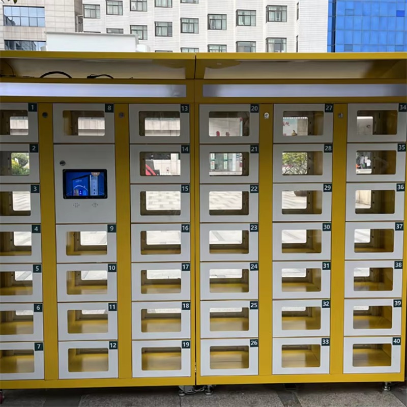 Cerradura Electrónica Personal - Food Storage Locker reseña y precio