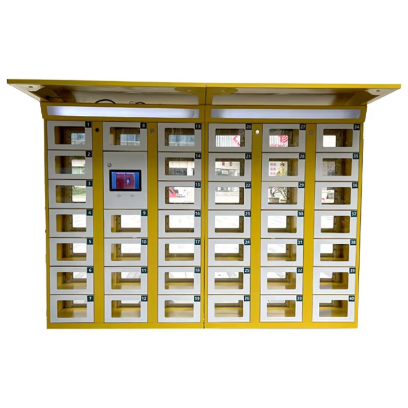 Cerradura Electrónica Personal - Food Storage Locker reseña y precio